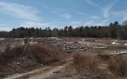Granite Reclaimed | 508.958.4094